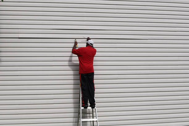 Best Siding Removal and Disposal  in Asbury Lake, FL