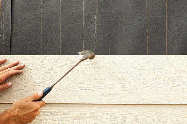Best Wood Siding Installation  in Asbury Lake, FL